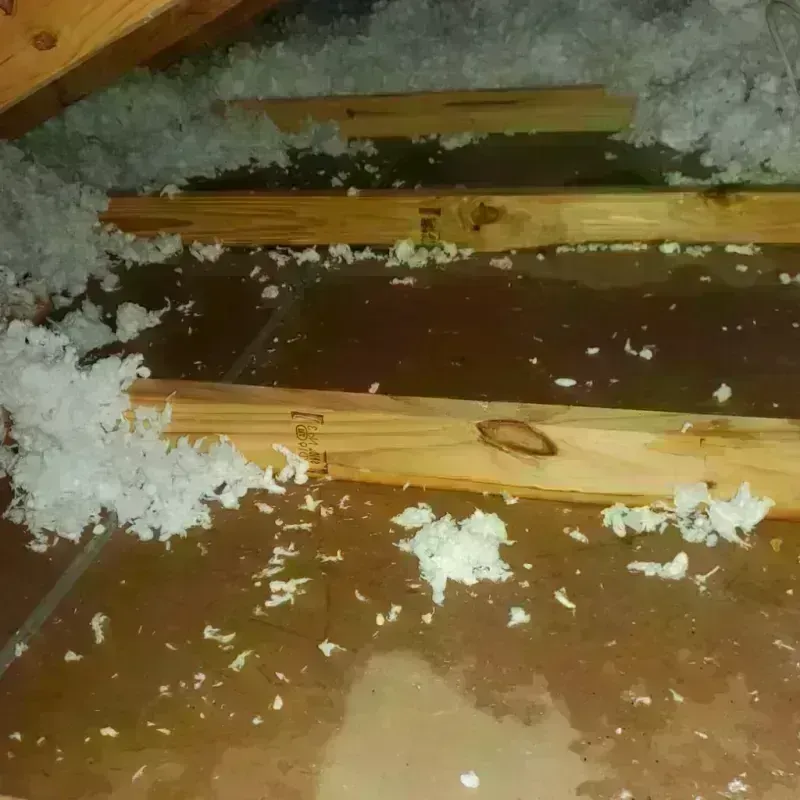 Attic Water Damage in Cleveland, GA