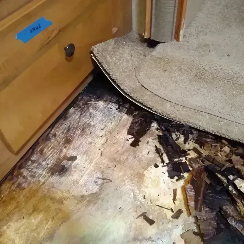 Wood Floor Water Damage in Cleveland, GA